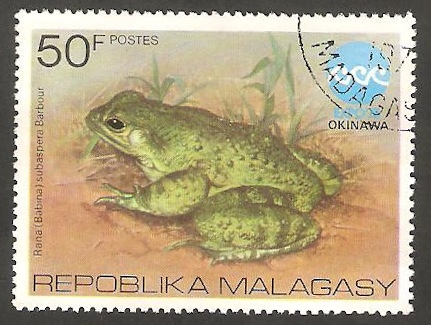 Exposición oceanográfica de Okinawa