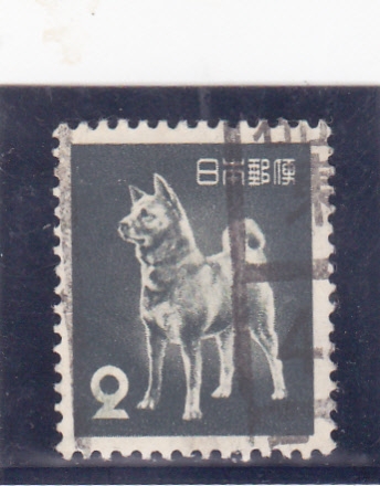 perro