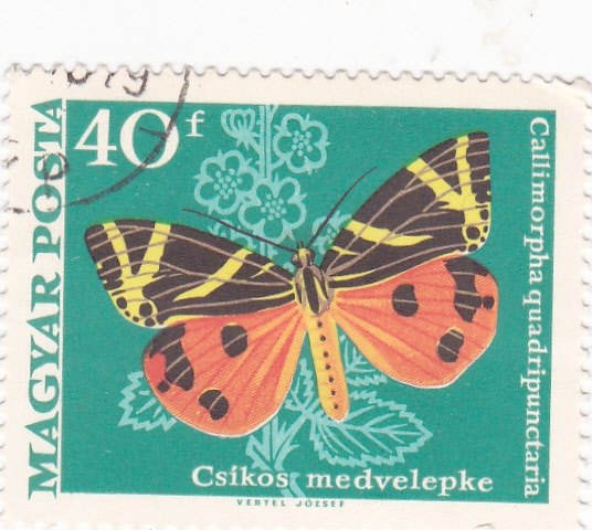 mariposa