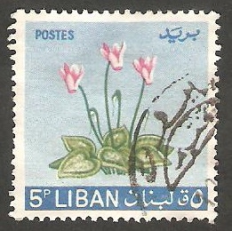 Flores