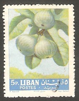219 - Higos