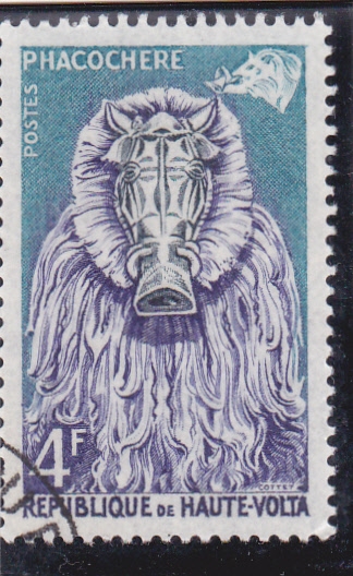 máscara- jabalí