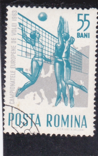 volei femenino