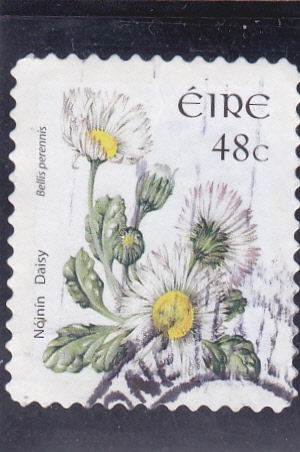 flores-