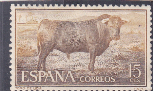 toro de lidia (21)