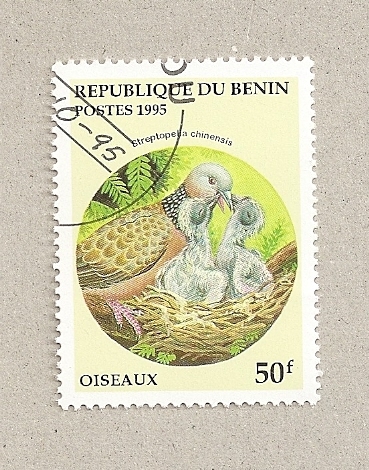 Pájaros
