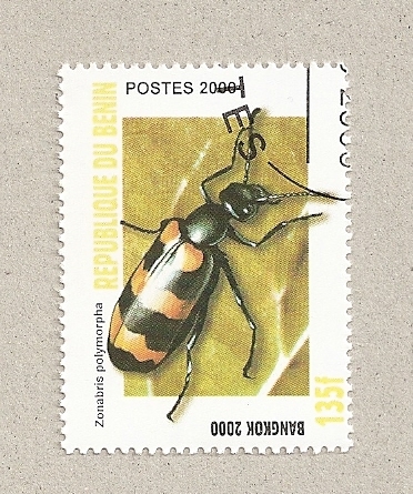 Zonabris