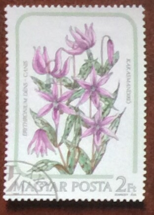 Flora