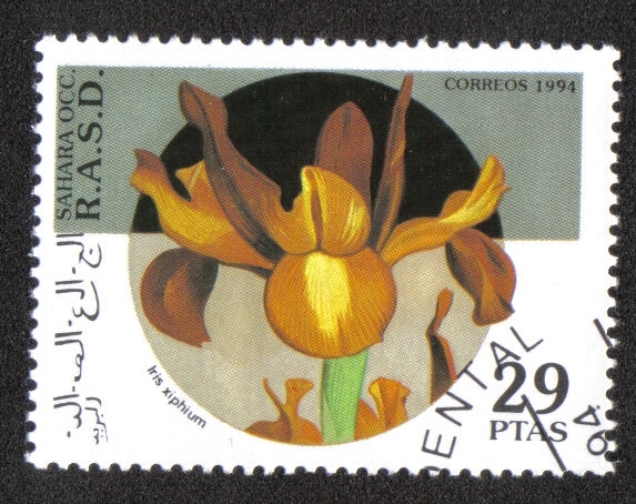 Orquídeas