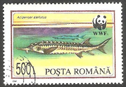 4202 - WWF, Fauna protegida