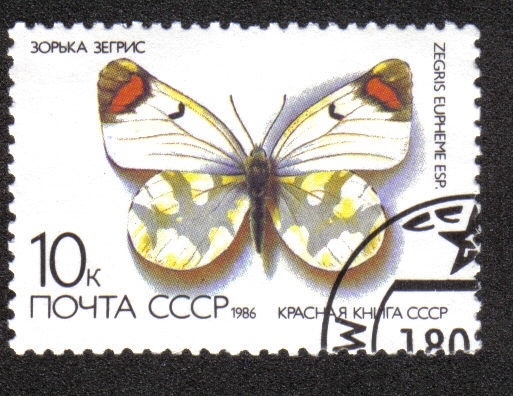 Mariposa