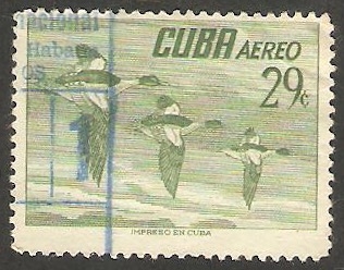 140 - Aves