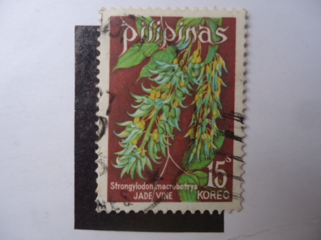 Flora: Jade Vino (Colgante)Strongylodon  macrobotrys.