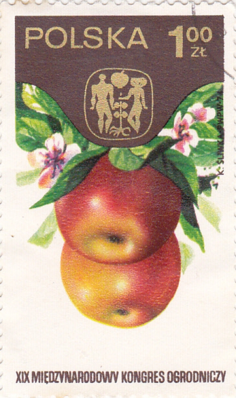 manzanas