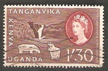 115 - Cataratas de Murchison e hipopótamos
