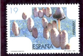 varios