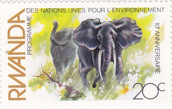 elefantes