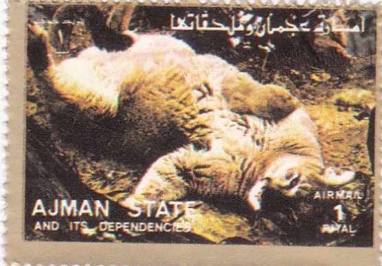 felino