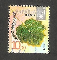 1058 - Hoja de árbol, populus tremula