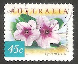 1740 B - Flor