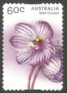 Orquídea