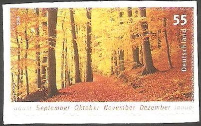2402 - Otoño