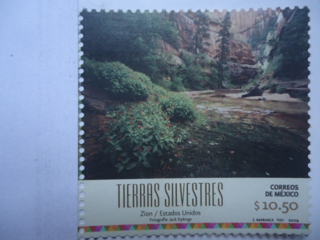 Tierras Silvestres - Zion (EStados Unidos)
