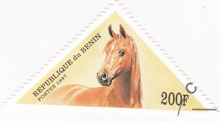 caballo