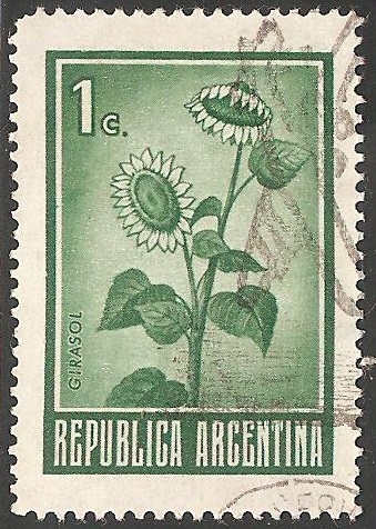 Girasol