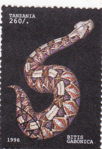 serpiente
