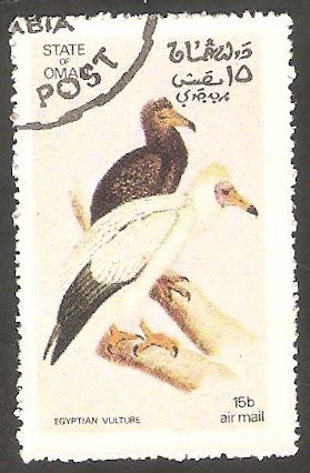 Aves