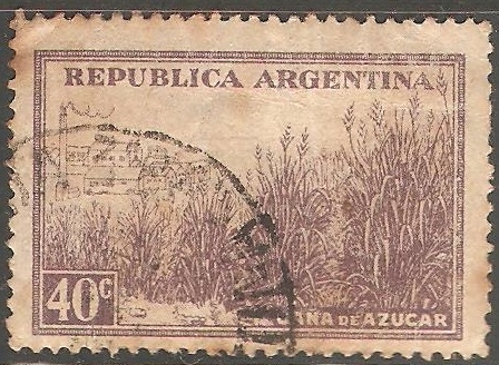 Caña de azucar