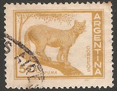 Puma