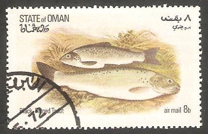 Fauna marina