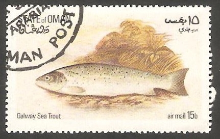 Fauna marina
