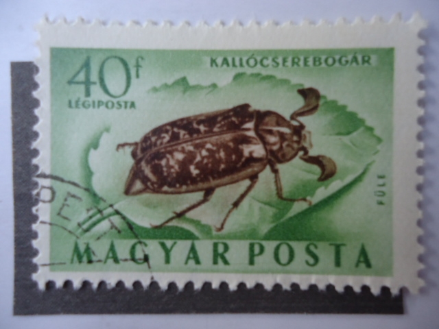 Magyar Posta 