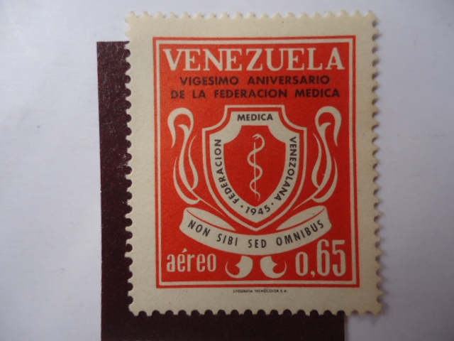 Vigésimo Anivrsario de la Federación Médica.