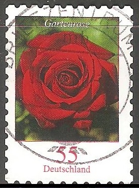 Rosa