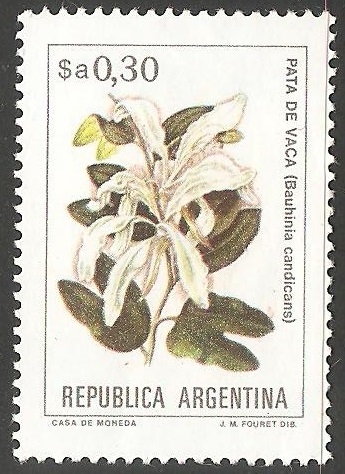 Pata de vaca