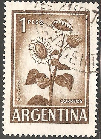Girasol
