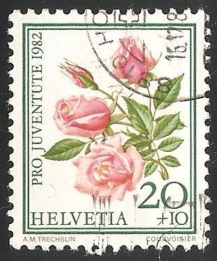 Rosas