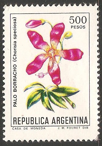 Palo borracho (Chorisia Speciosa)