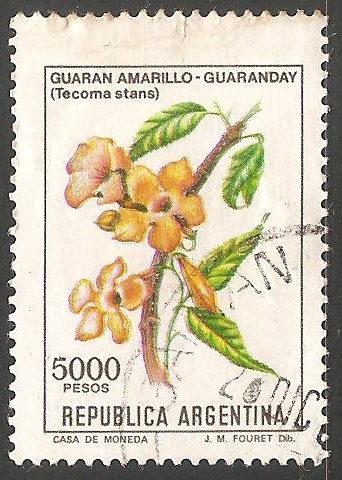 Guaran amarillo