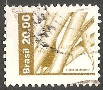 Caña de azucar