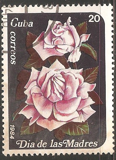 Dia de la madre