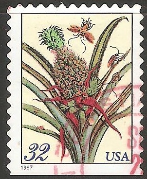 Pineapple (Piña)