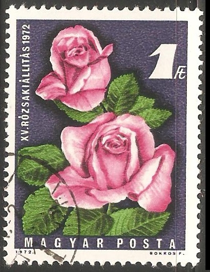 Rosas
