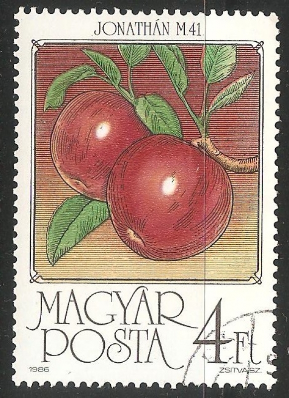 Manzana