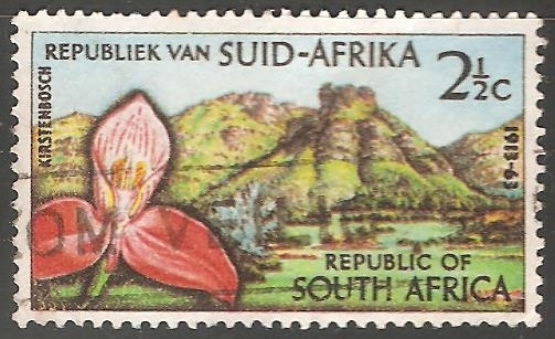 Kirstenbosch