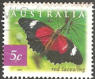 Lacewing rojo